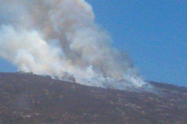 Sofocan pobladores incendio en la Reserva de la Biosfera en Caltepec