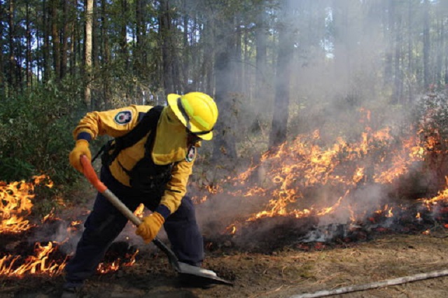 Hay seis incendios forestales activos en Puebla: Medio Ambiente