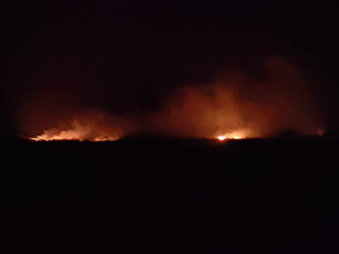 Incendio forestal en el cerro en Ajalpan arrasó con 10 ha de plantas endémicas de la RBTC