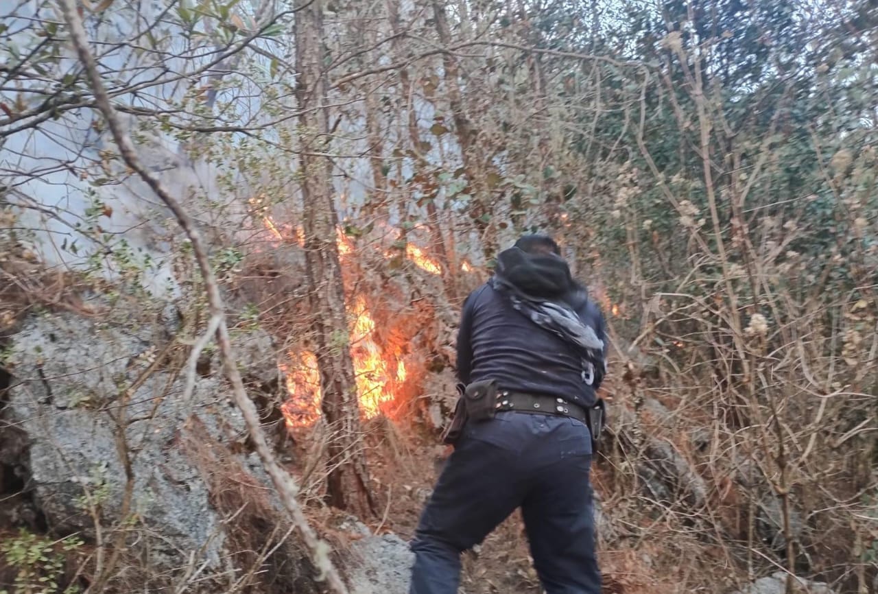 Incendio forestal en Alcomunga se encuentra controlado: Protección Civil
