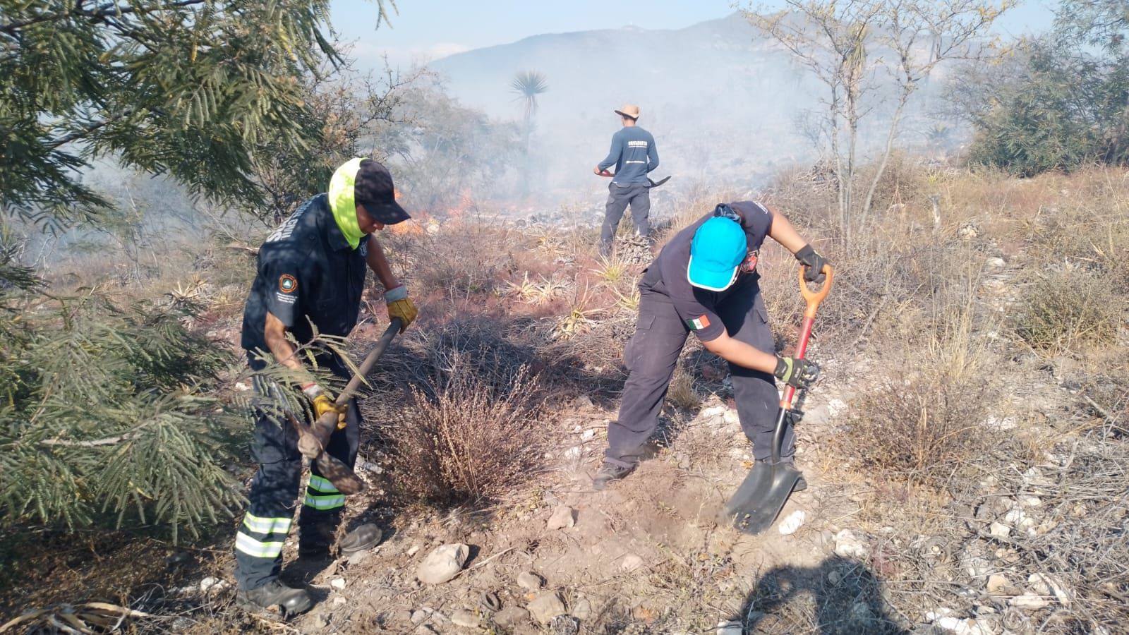 Incendio en el cerro de la Tres Cruces en Tehuacán arrasa 6 hectáreas de especies endémicas 