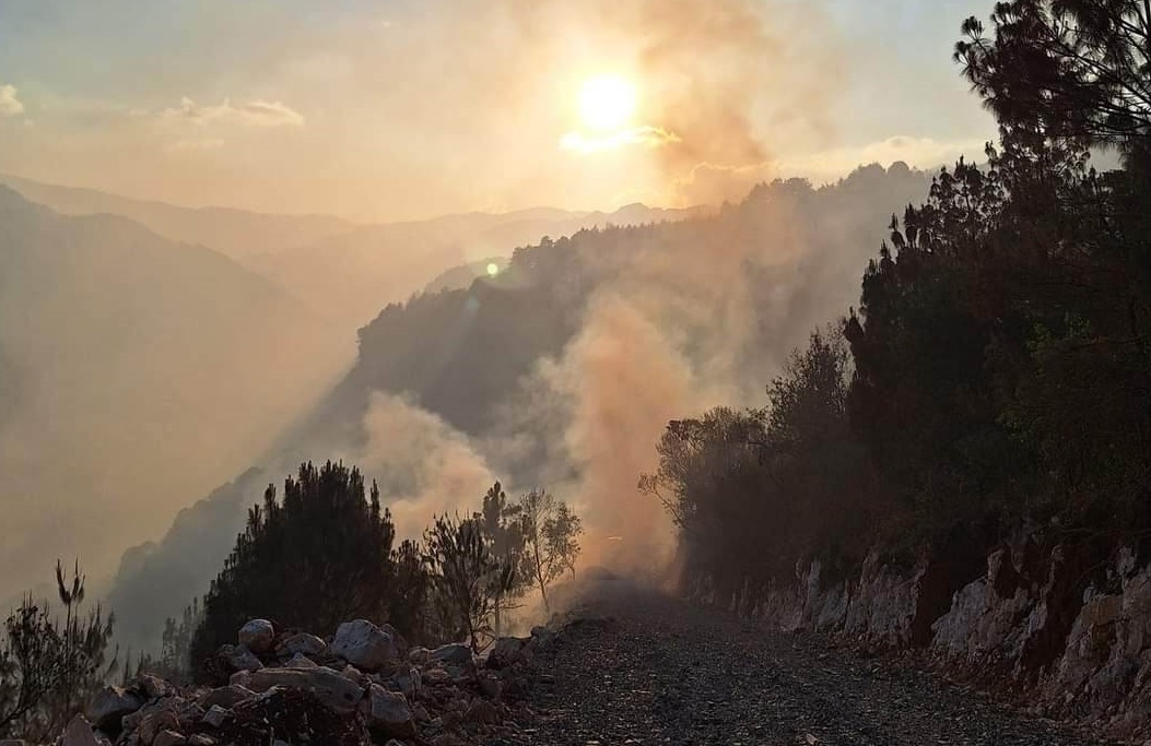 Piden auxilio para sofocar incendio en San Juan Cuautla, Coyomeapan