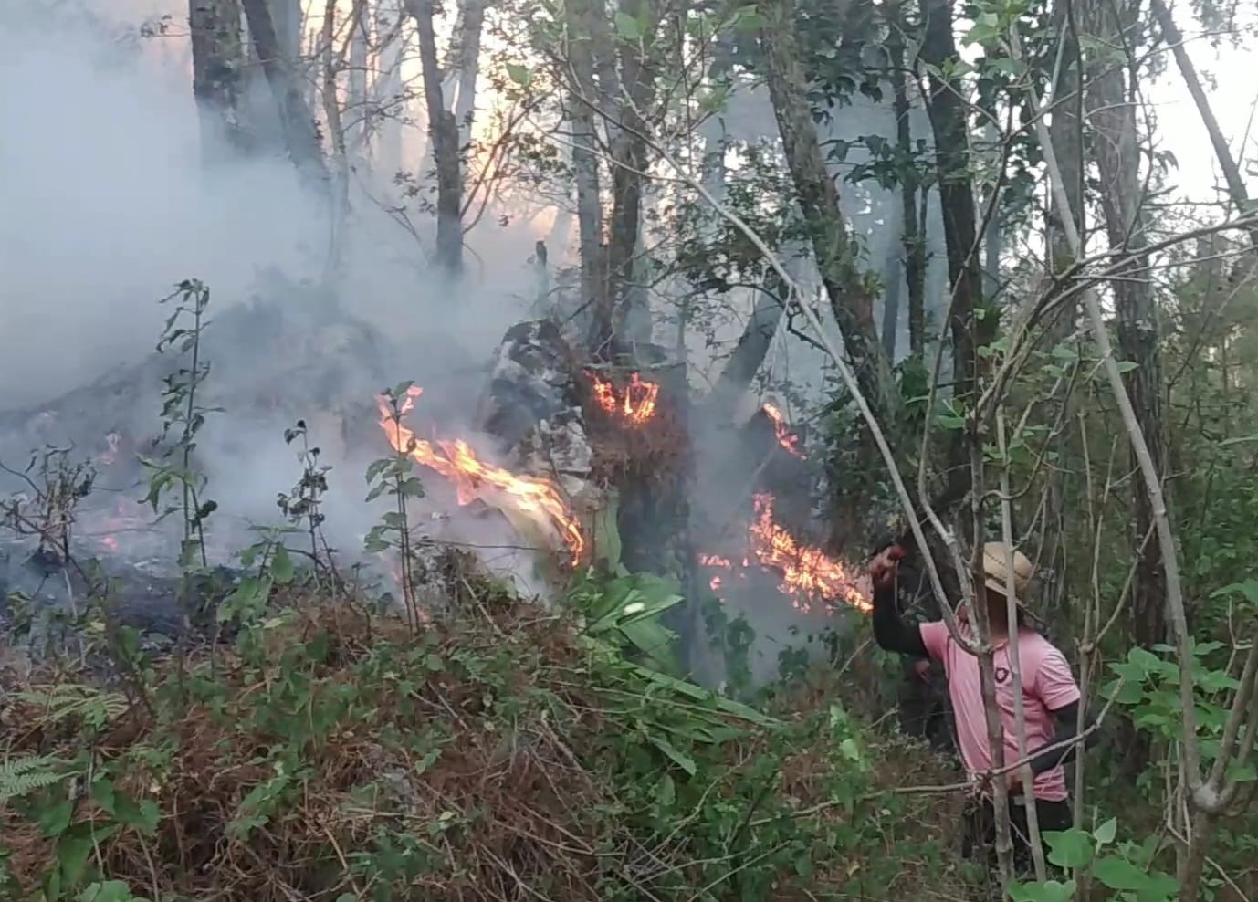 Evacúan a familias en riesgo por incendio en Coyomeapan