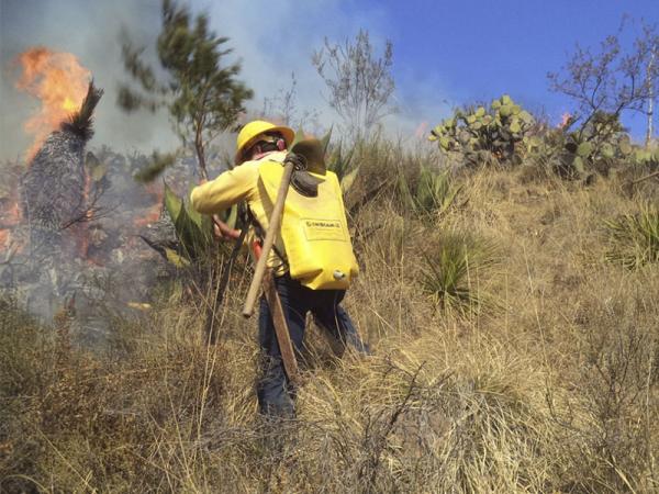 Puebla, cuarta entidad con más incendios forestales al iniciar 2022 