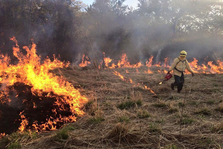 Controla Conafor 60% el incendio forestal del Iztaccíhuatl-Popocatépetl