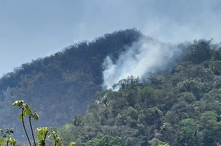 Autoridades no combatirán incendio forestal de Playa Nueva en la Sierra Negra 