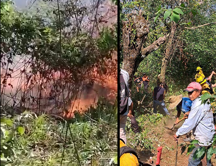 Incendio consume 35 hectáreas entre Teziutlán y Chignautla