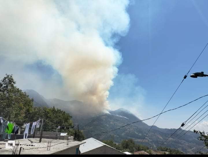 Incendio forestal en Coyomeapan arrasa con hectáreas de bosque
