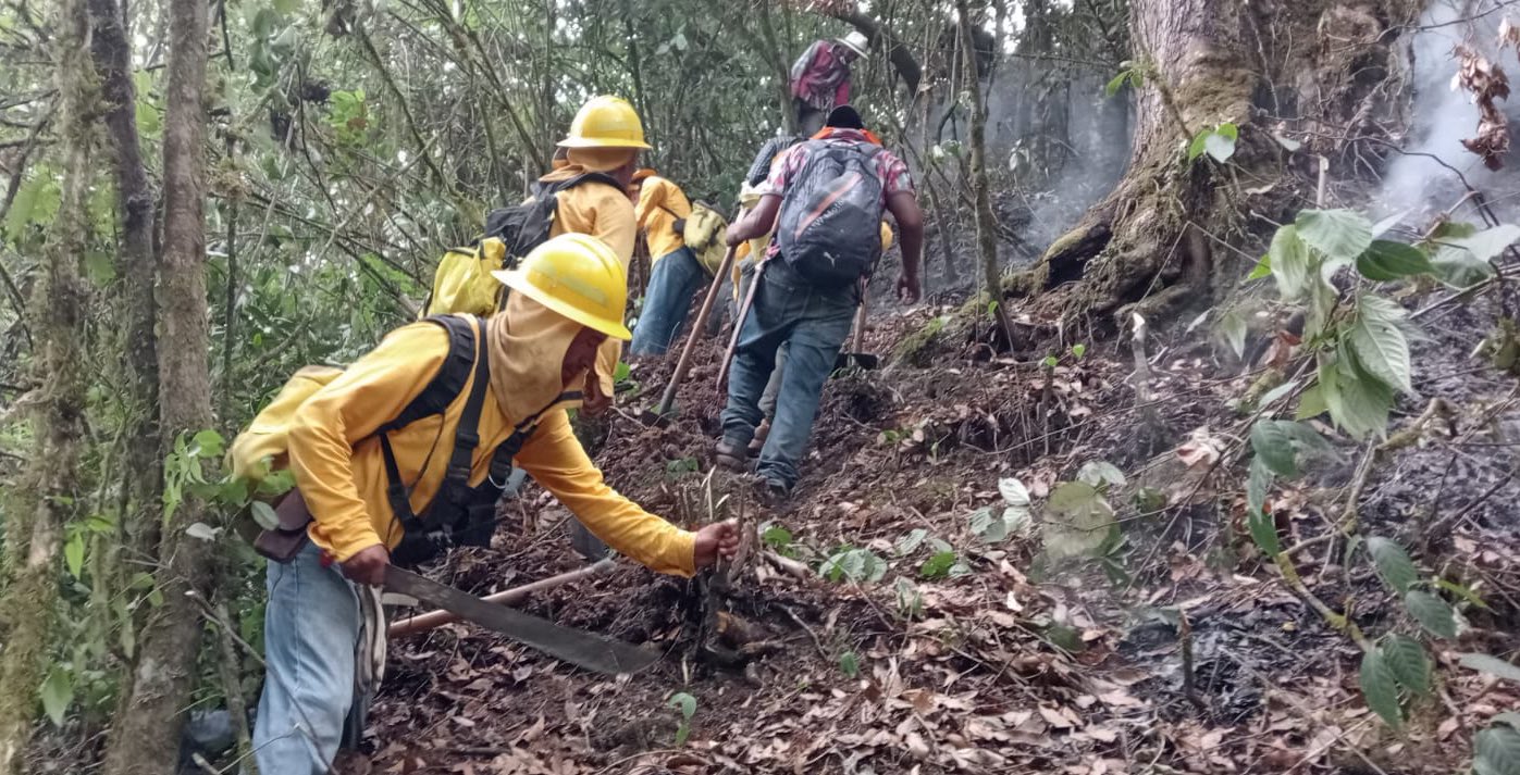 Liquidan el incendio forestal de Zacapoaxtla: Céspedes Peregrina