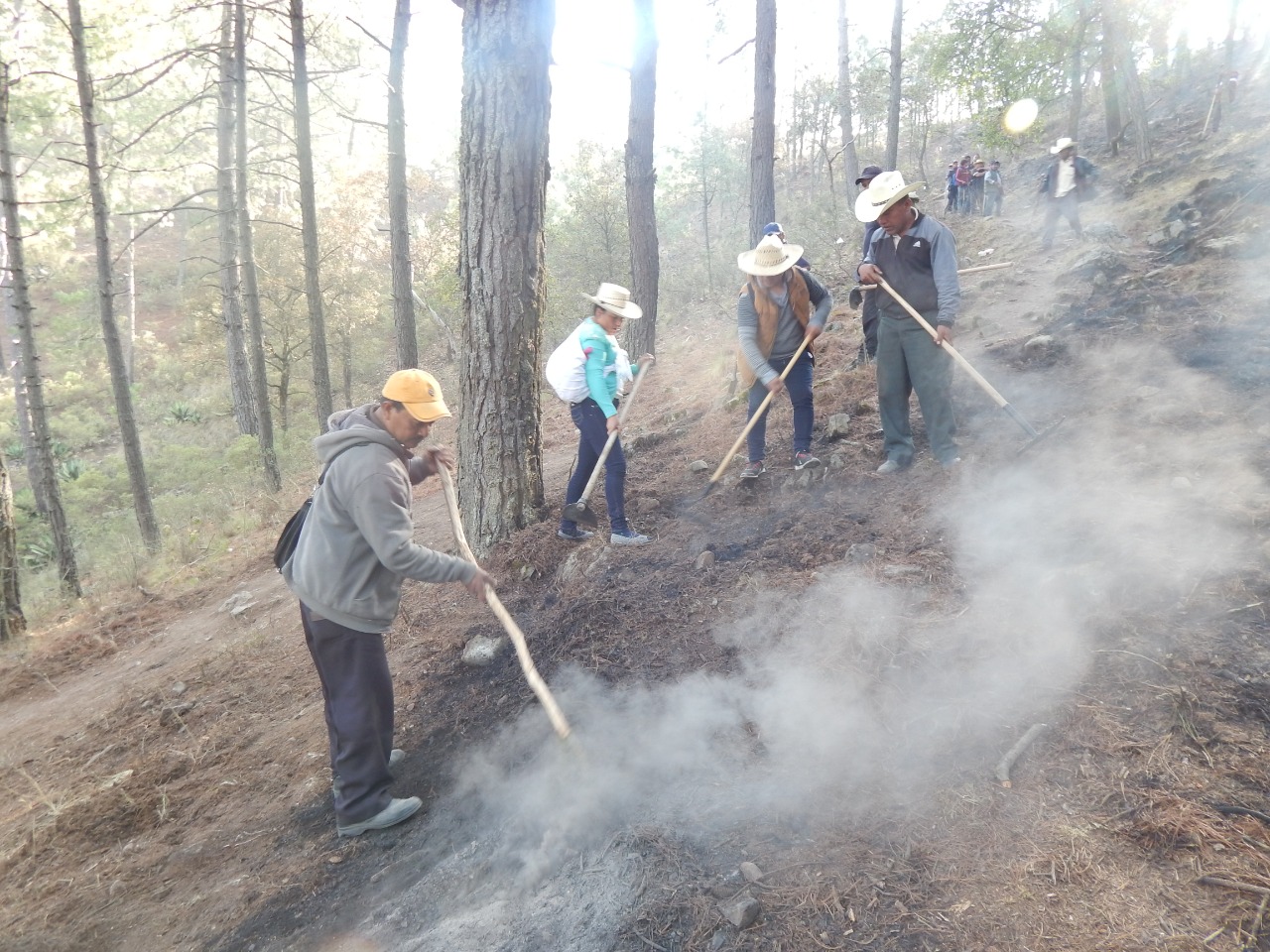 Sofocan incendio forestal al 100% en Zautla