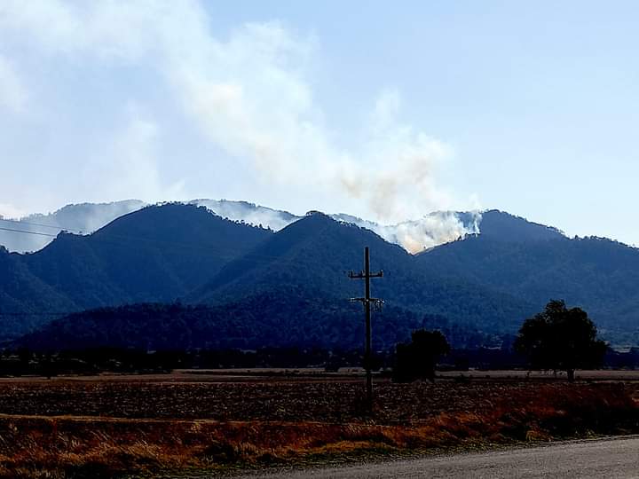 Van 18 horas de incendio forestal en el municipio de Oriental 