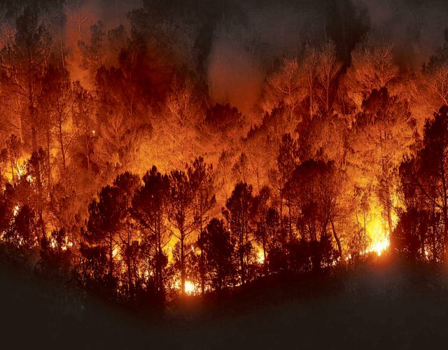 Se registran dos incendios forestales más, en Tochimilco y Petlalcingo