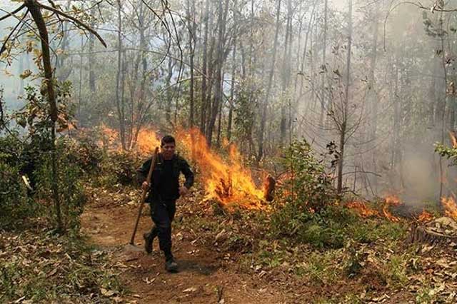 Incendio forestal de Libres se ha liquidado al 90 por ciento: Sergio Salomón 