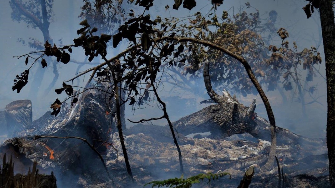 Activos 11 incendios forestales en la entidad