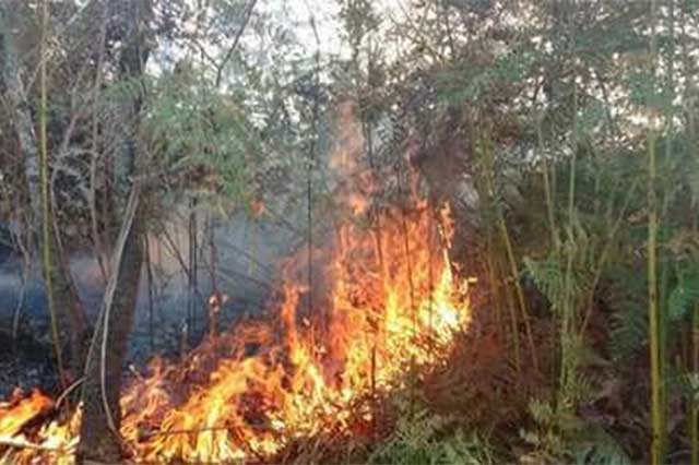 Incendio daña área forestal en territorio de Tlatlauquitepec