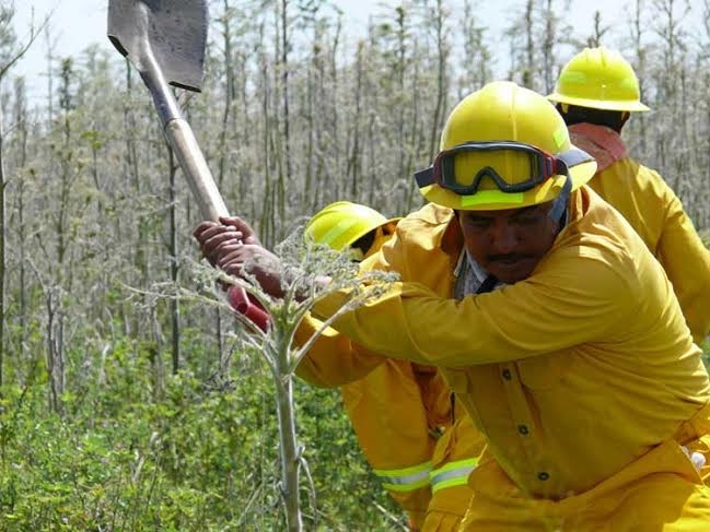 Con quema controlada, prevendrán incendios forestales en Puebla
