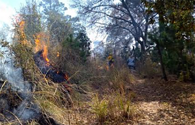 Se registra incendio en la zona del Vaquero en Teotlalcingo