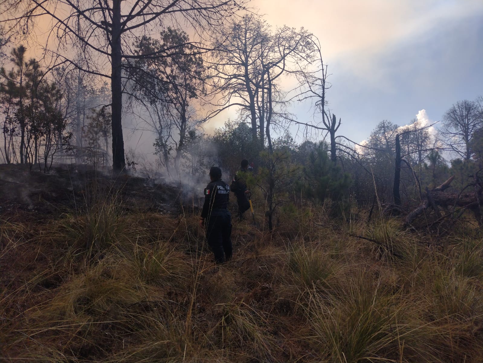 Combate Gobierno del Estado seis incendios forestales activos: SEGOB