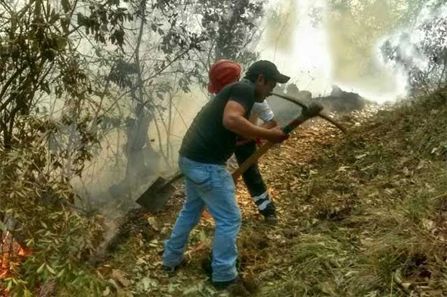 Incendios dañan 25 hectáreas de bosque en Zacapoaxtla