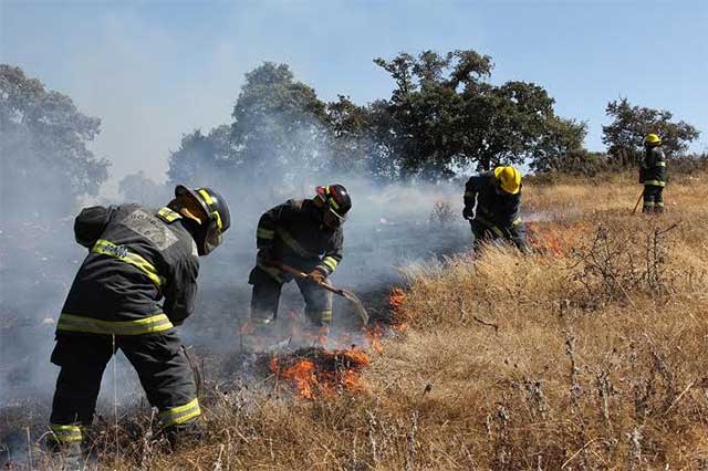 Incendios forestales afectan a Epatlán y Teopantlán