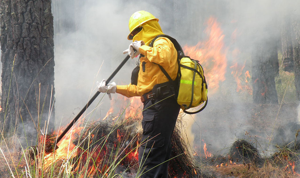 Incendios forestales han dañado mil 700 hectáreas de bosque en Puebla
