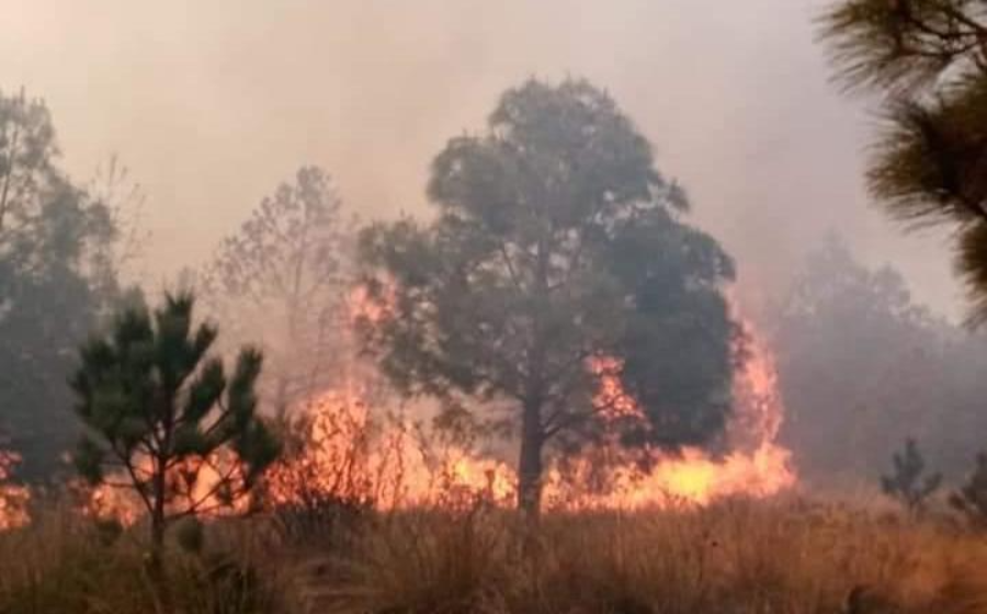 Registra la Malinche 4 incendios forestales en tan solo 24 horas