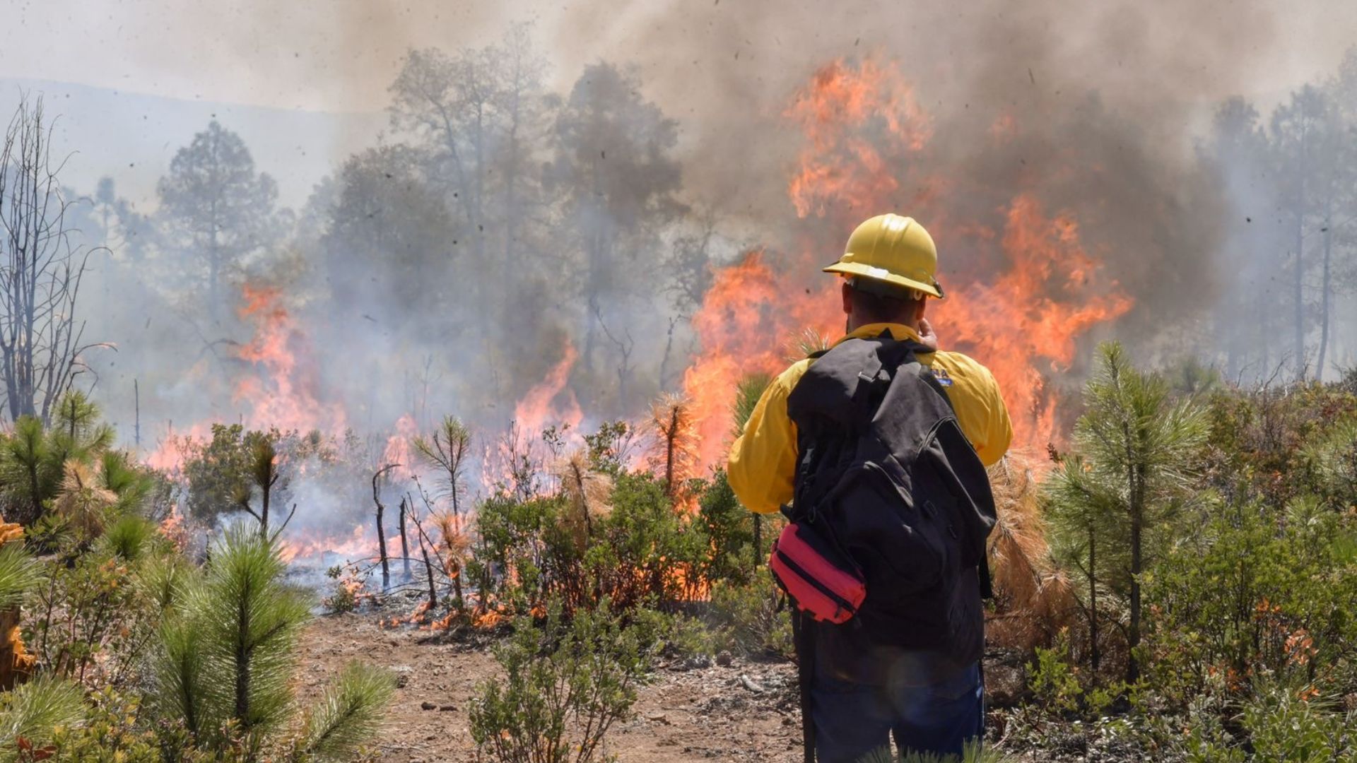Hay 124 incendios forestales activos en México; en Puebla se están dando 3 