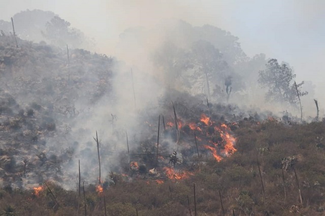 Puebla acumula 44 incendios forestales este 2022
