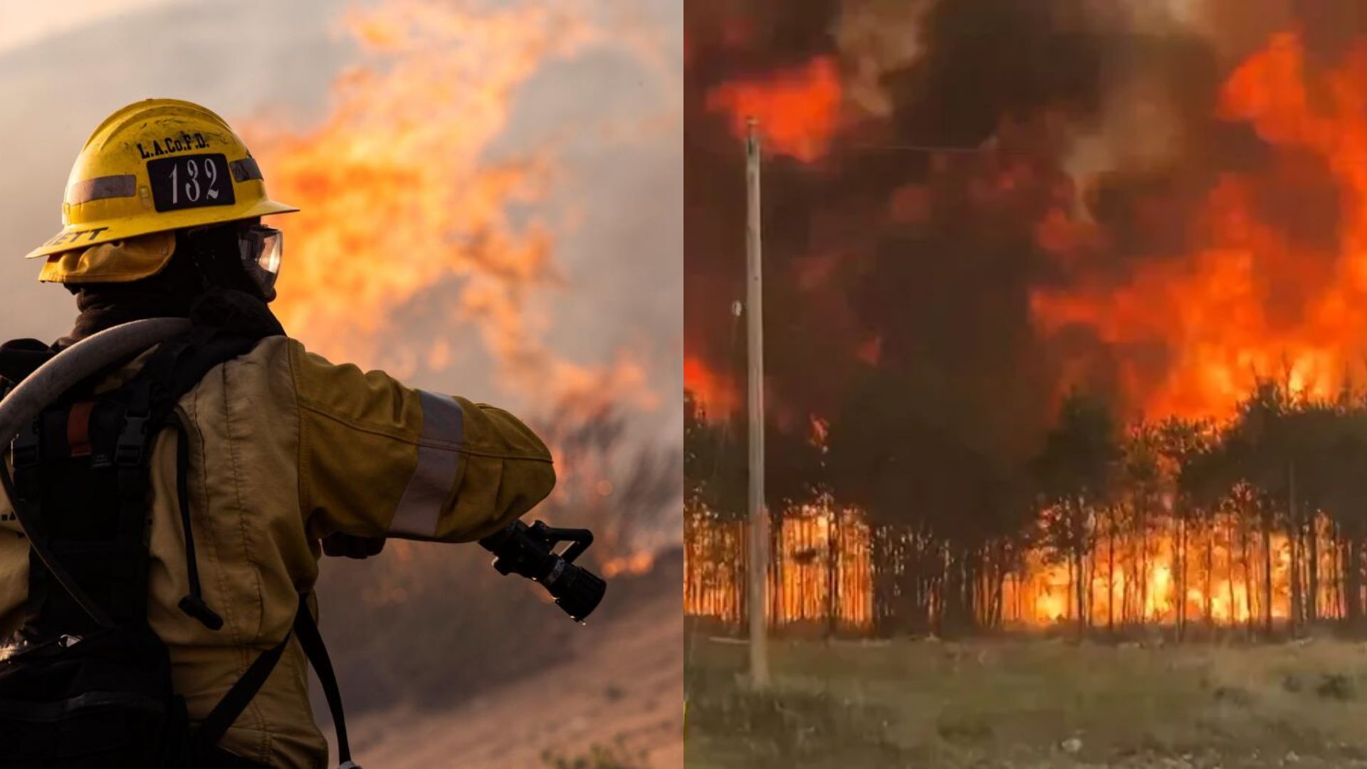 México envía 101 bomberos a Canadá para combatir incendios forestales