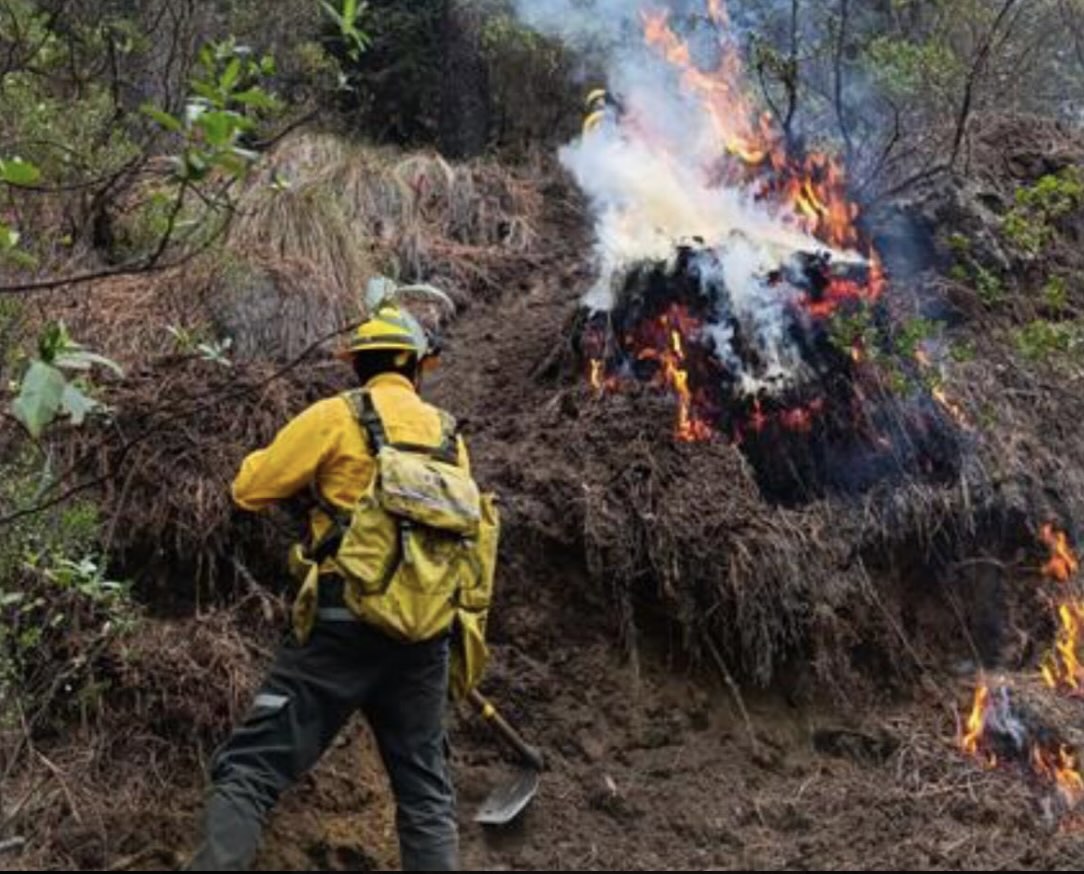 Incendios forestales consumen más de 9 mil 100 hectáreas en Puebla