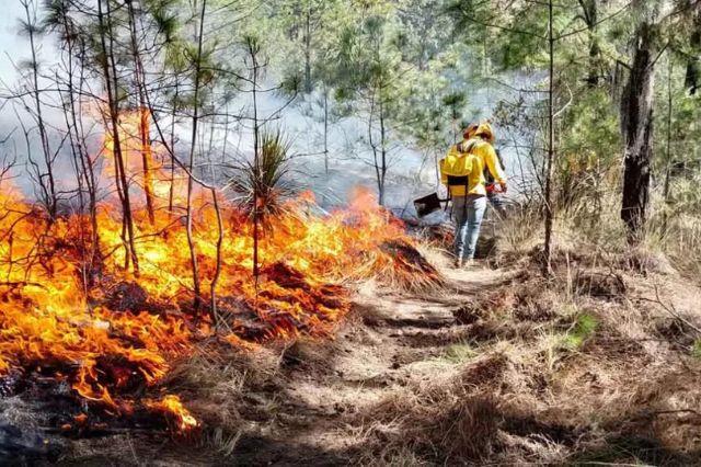 Extinguen incendios en el Citlaltépetl y Libres; continúan monitoreos por puntos de calor