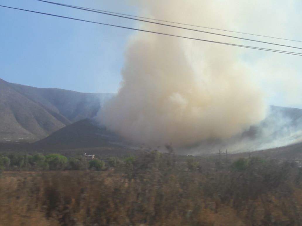 Activos 19 incendios forestales en 21 municipios