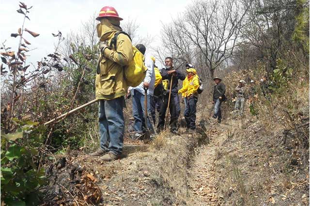 Combate Conafor 5 incendios forestales en Puebla