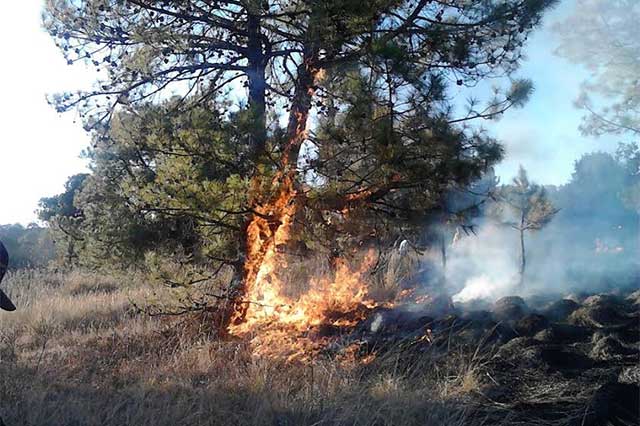 Elaboran silvicultores plan contra incendios forestales en Tehuacán