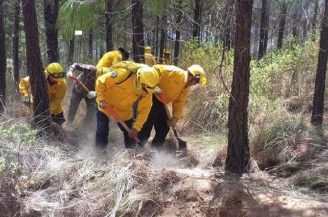 Alistan brigadas para atender incendios forestales en Tehuacán