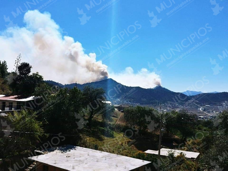 Cuatro días de incendio en Zautla afecta 100 hectáreas