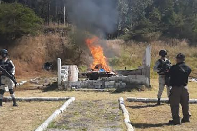 Más de 50 kilos de droga incinera Fiscalía en Puebla