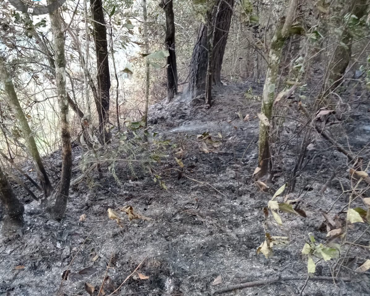 Incendio consume tres hectáreas de bosque en Huauchinango