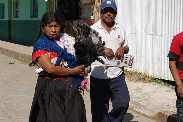 Lingüista advierte modificación de Náhuatl en Huauchinango