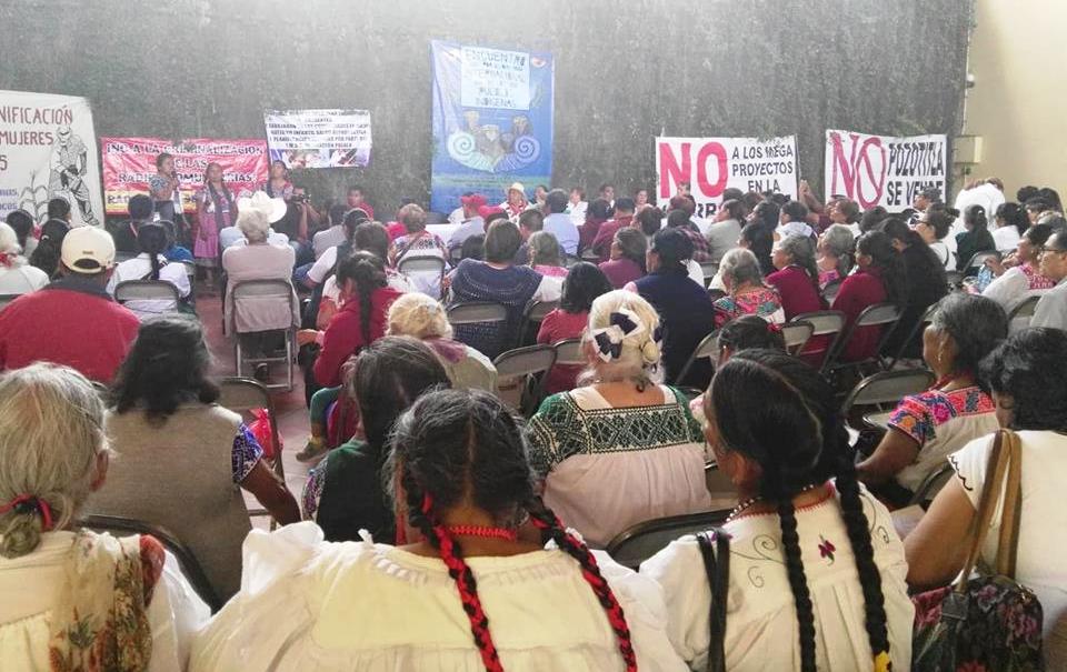 Acusan organizaciones indígenas acoso, despojo y persecución