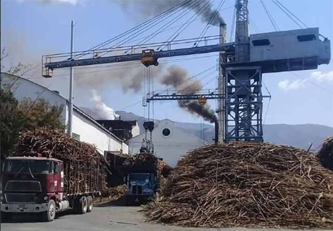 Sequía daña producción de caña en el ingenio Calipam