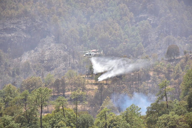 Impulsan en el Congreso exhortos para prevenir y combatir incendios forestales