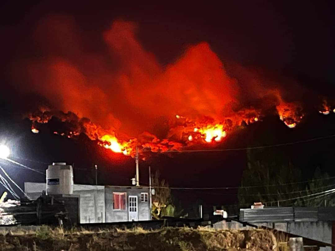 Intencionales, 200 de 420 incendios forestales registrados en Puebla en 2024