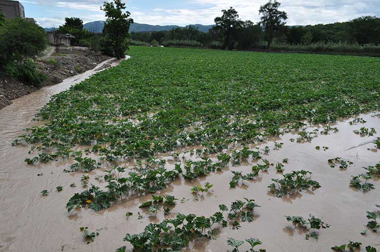 Se desborda río Tizaac en Acatlán; inunda hospital general y terrenos de cultivo