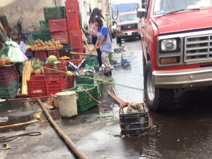 Comerciantes de Atlixco invaden vía pública para instalar tianguis regional