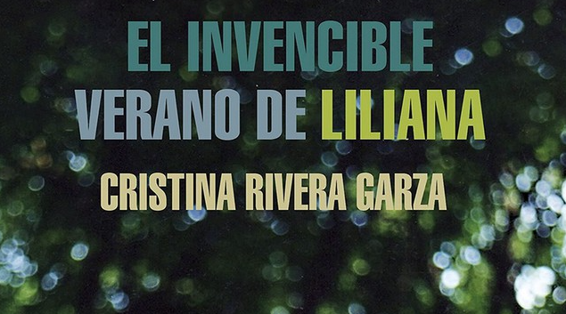 Una novela criminal y El invencible verano de Liliana; violencia y feminicidio