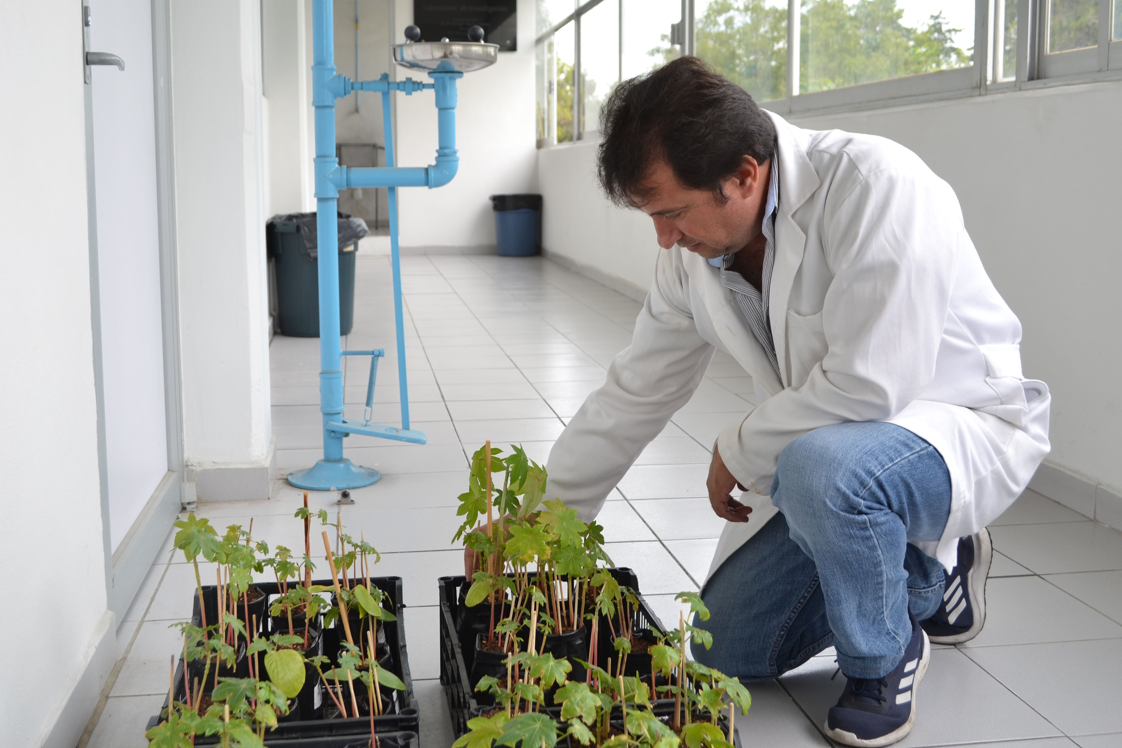 Investigadores BUAP eliminan el 90% de colorantes textiles en aguas residuales