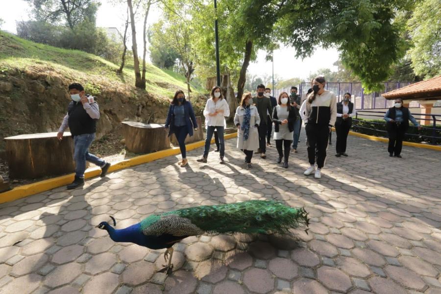 Gobierno de Tlaxcala crea el Instituto de Fauna Silvestre