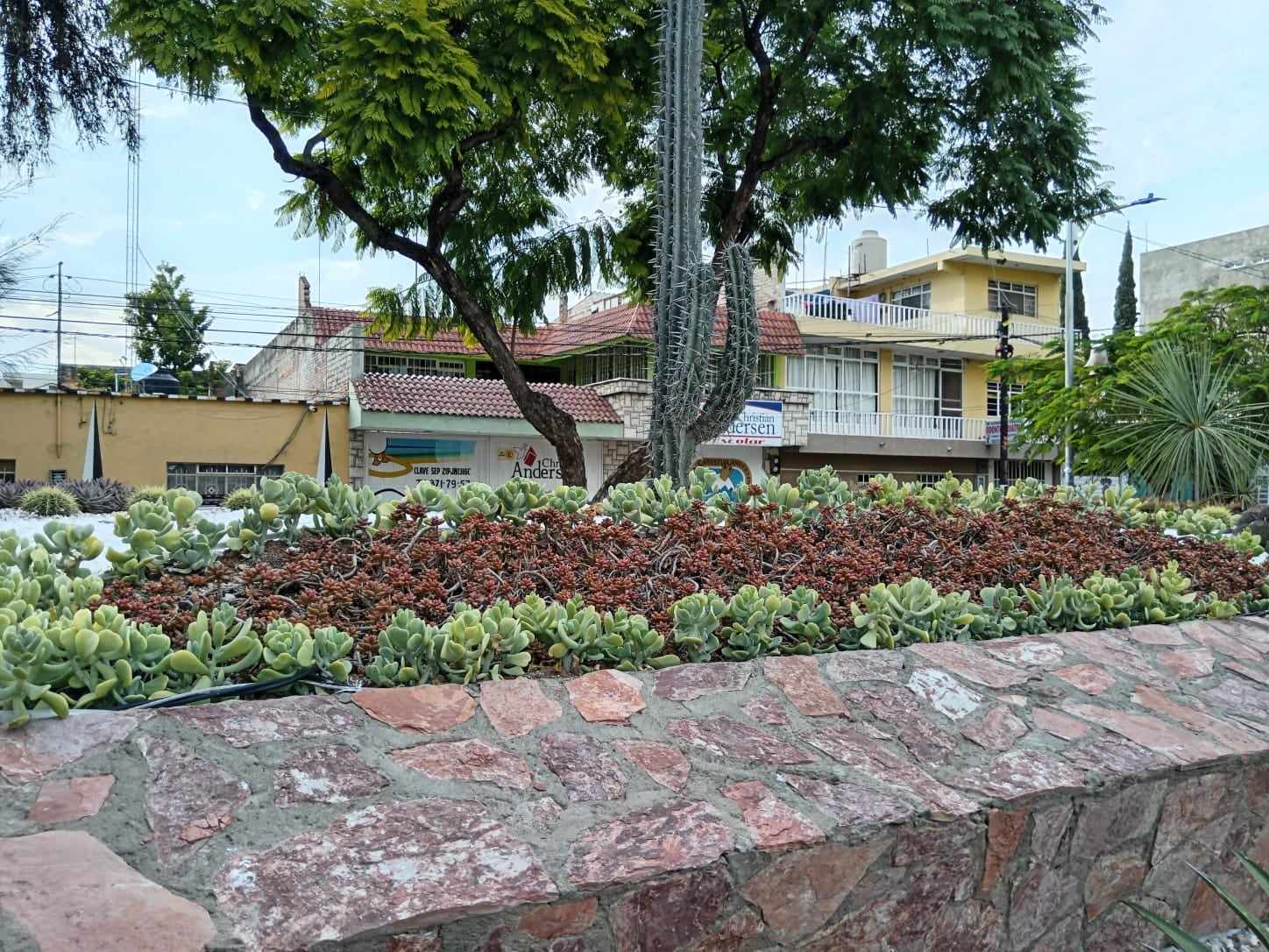 Instalarán cámaras de vigilancia en jardín botánico de Tehuacán