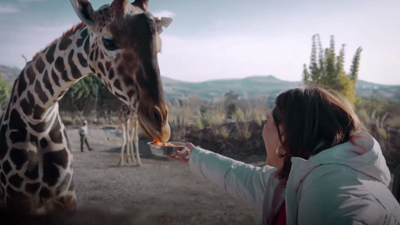 VIDEO Xóchitl Gálvez se suma a la Benitomanía que hay en el país 